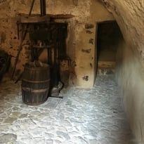 Visite du moulin à huile de la maison Vincentelli
