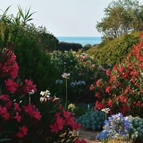 Visite du Parc de Saleccia