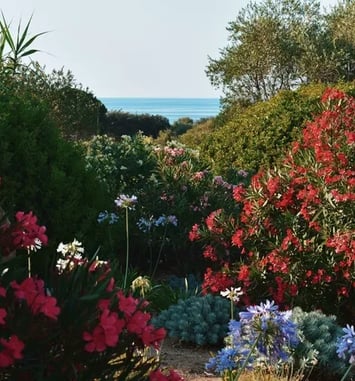 Visite du Parc de Saleccia