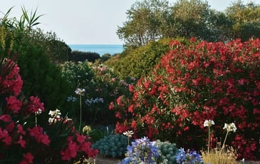 Visite du Parc de Saleccia