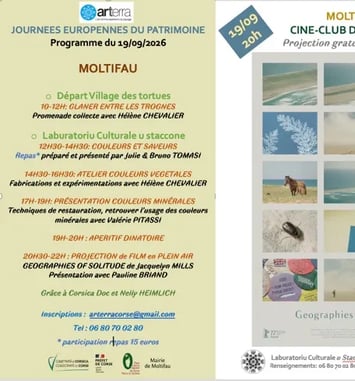 Couleurs et saveurs