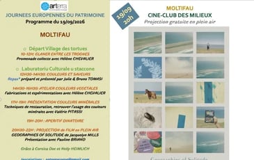 Couleurs et saveurs